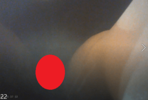 p160075616d6f24e1371