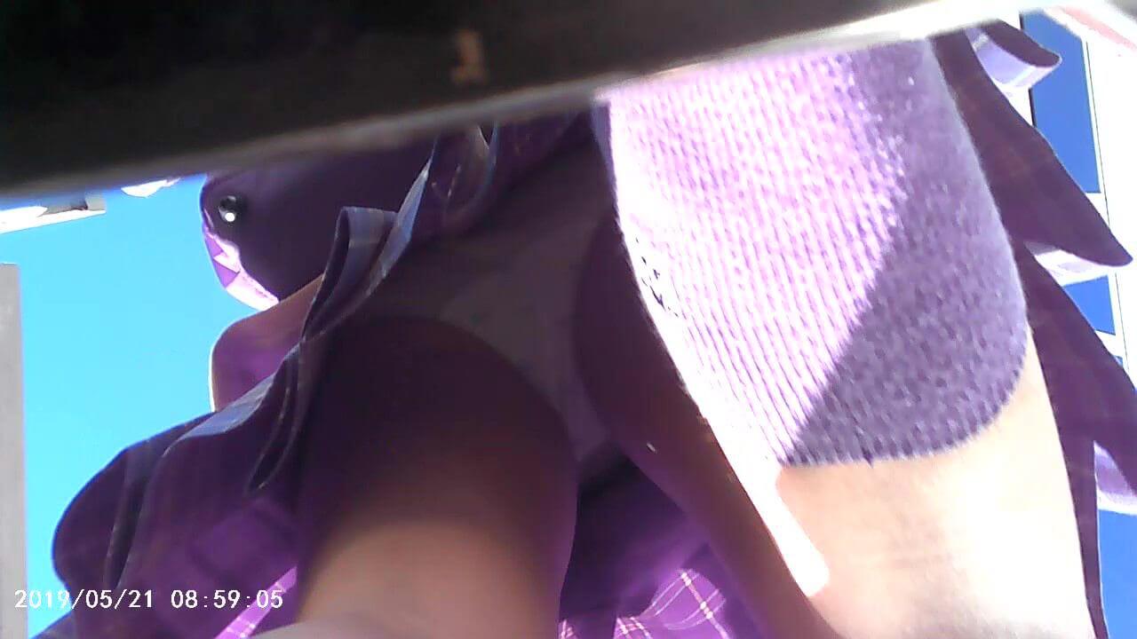 p16468161a6e7b97ce00