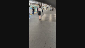 p16700361c2fbd03f3a1