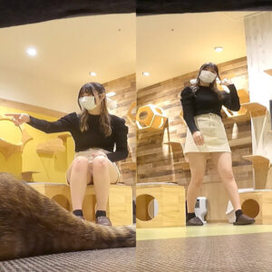 p1742486225af85ad28e