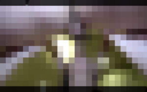 f2936517