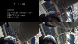 g834066