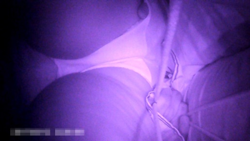 p18727562e520cac147c