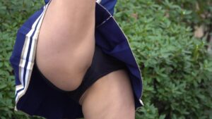 p193344634150240cae4