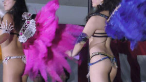 p198128638f79500ef48