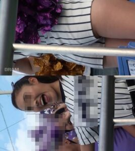 p1382446060353b2855d