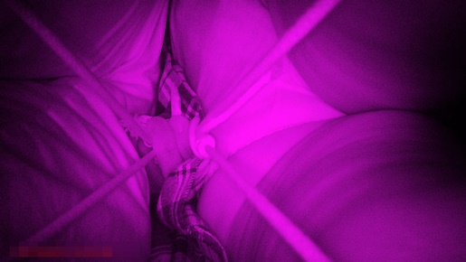 p195359635f9322912a7