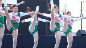 p20037063b45b7684a3d