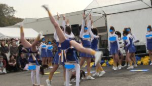 p205518640d3987375fe