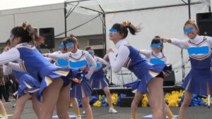 p205518640d3987375fe