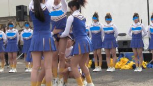 p205518640d3987375fe