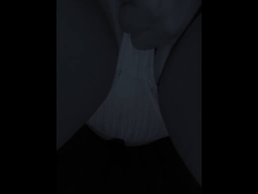 g931979