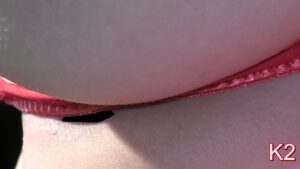 p219803650b271fec568