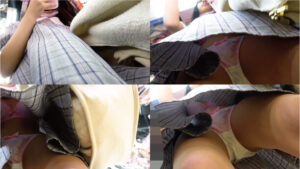 p23055265d6f6c04a31e