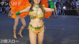 p233135660669553770d