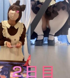 p2338316613e1134472c