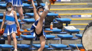 p2364726646f85ee3005