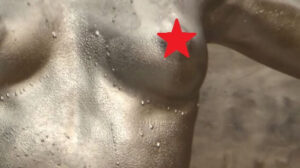 p238329666954c7705dc