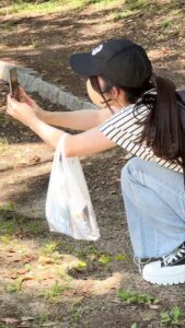 p24152766ac4423855c1