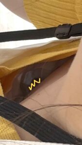 p24192766b56f29db27f