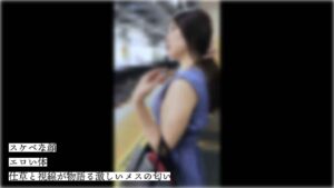 p24290866cc1f1308553