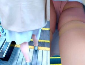 p213438649da2847a208