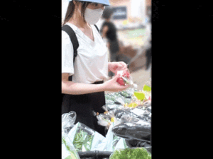 p24311966d12db134267