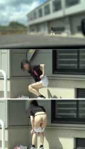 p24312866d13232439e7