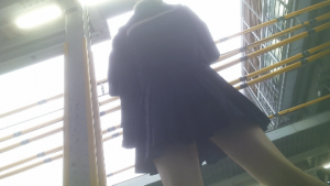 p236018663e31e24f364