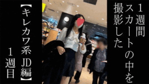 p247601673c46b3afacd
