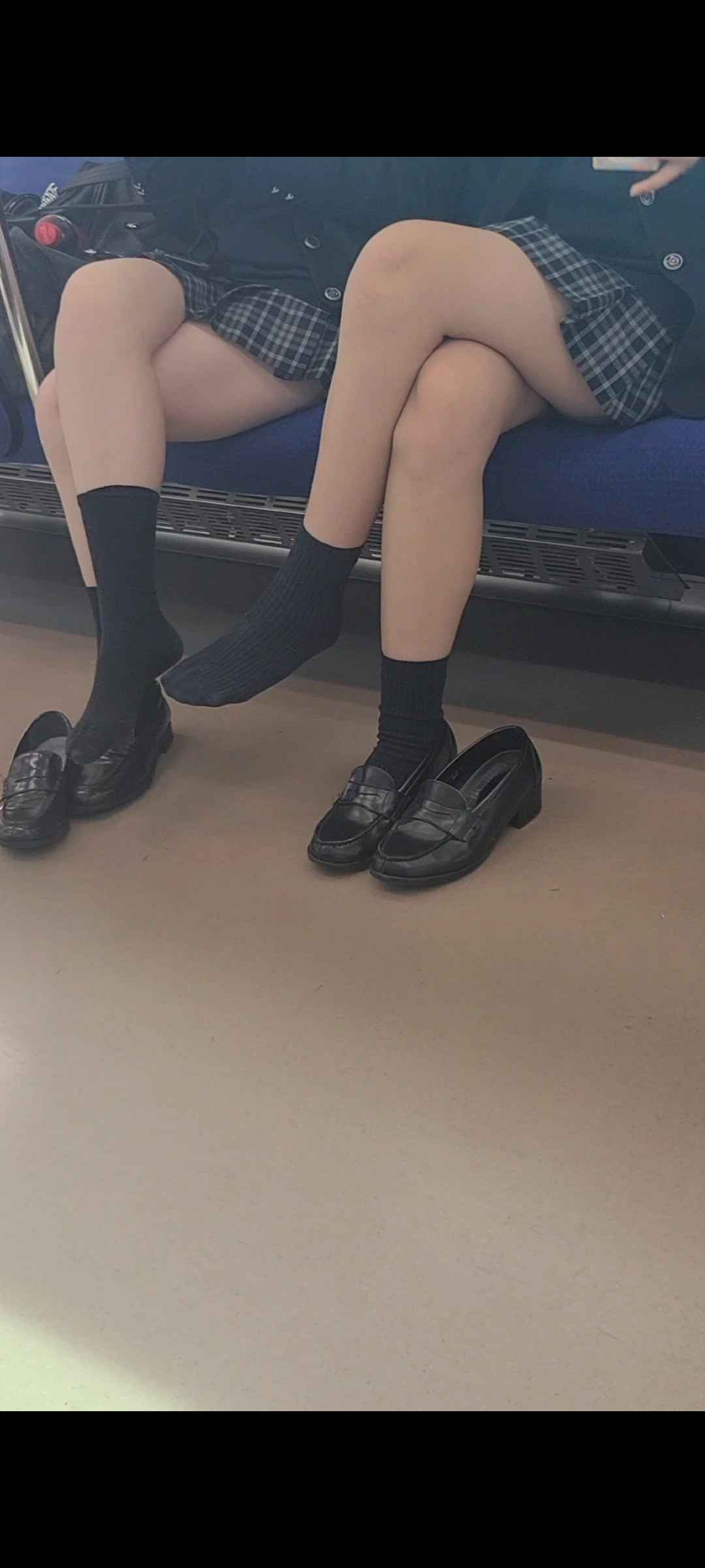 pal49234