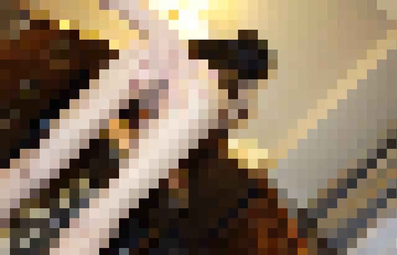 f4624531