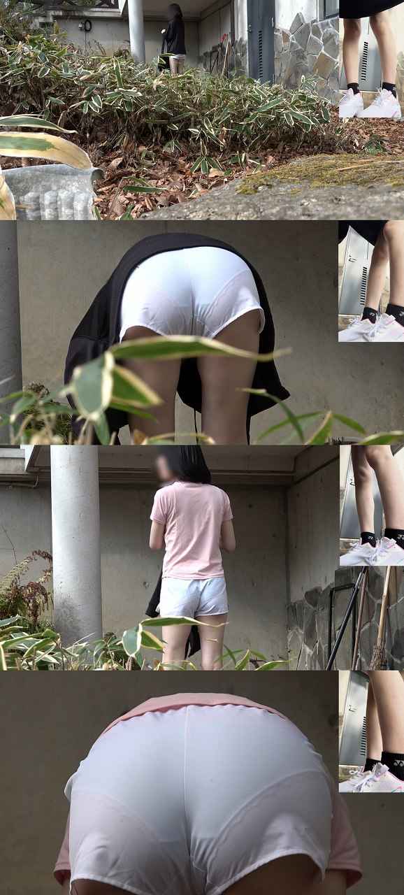 p2504746781228f3ff4a