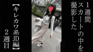 p25401267d56414780b5
