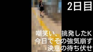 p25570867febe17e8dc9