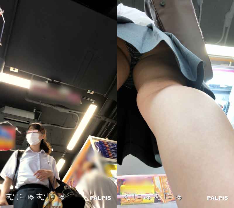 pal79361