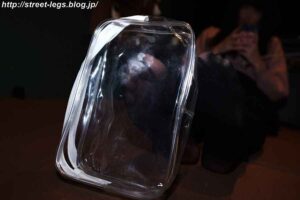 p251207679308655c36c