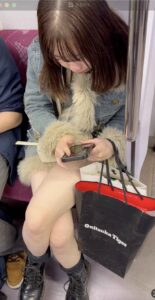 p256412680e042cbb1c2