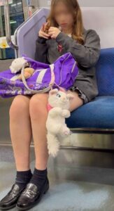 p25753468286999a2bc6