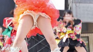 p25789168319c861d283