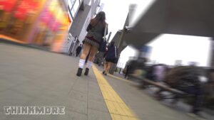 p251617679cf481cc82a