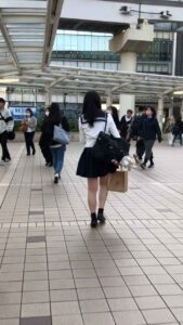 p2600416864085ae9e62