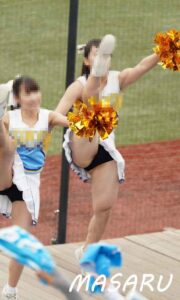 p261080687a64b108cf3