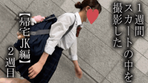 p261186687cdf2e795da