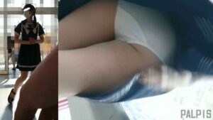 pal84668