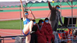 p226745658b621262b0d