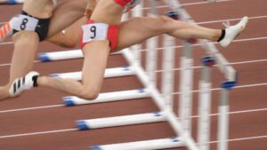 p23134865e445a53a619