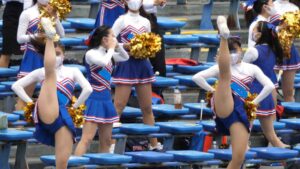 p236208664219e3d0924