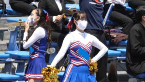 p236208664219e3d0924