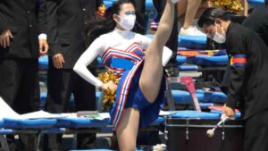 p236208664219e3d0924